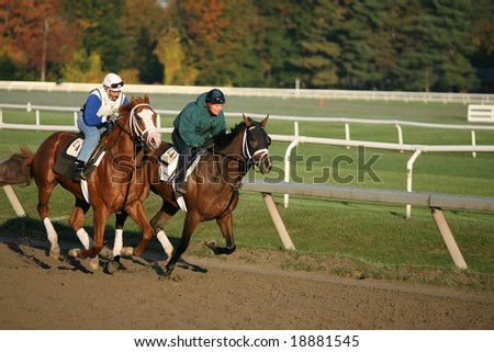 SARATOGA SPRINGS - October 12:  A Pair of Rider in the Morning Workouts at the Oklahoma Training Track on October 12, 2008 in Saratoga Springs, NY