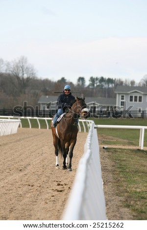 SCHUYLERVILLE - November 22: Unidentified Rider Gallops 4 Year Old Gelding Western Connection on the Poly Track at Stonebridge Farms November 22, 2008 in Schuylerville, NY.