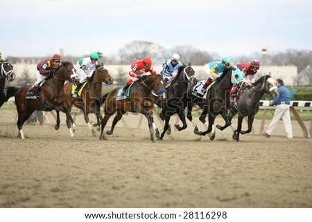 OZONE PARK, NY - APRIL 4: The Field heads down the front stretch in the Excelsior Handicap at Aqueduct Race Track- April 4, 2008 in Ozone Park, NY.