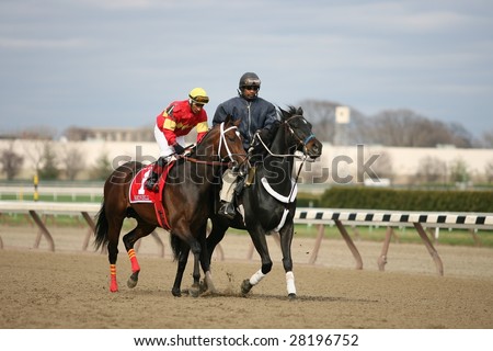 OZONE PARK - APR 4: Jorge F. Chavez aboard Hatfield in the post parade for the 49th Running of the Bay Shore Grade III at Aqueduct Race Track- April 4, 2008 in Ozone Park, NY.