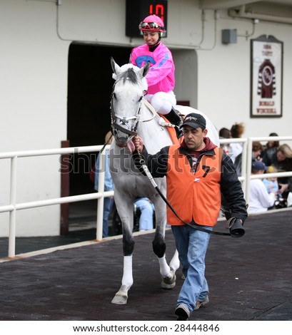 OZONE PARK - APR 4: Morine\'s Victory with Maylan Studart Aboard leaves the paddock prior to the start of the First Race at Aqueduct Race Track April 4, 2008 in Ozone Park, NY.