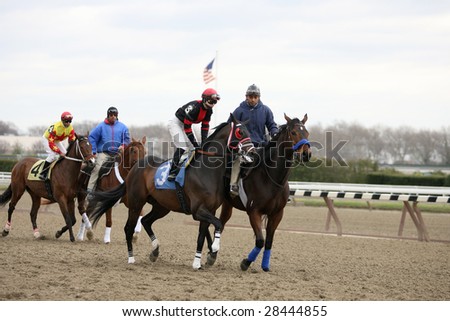 OZONE PARK - APR 4: Sea of Trees and What a Trippi in the Post Parade prior to the start of the First Race at Aqueduct Race Track April 4, 2008 in Ozone Park, NY.
