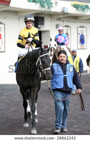 OZONE PARK - APR 4: Flat Bold with Ramon Dominguez Aboard Leaves the Paddock for the 4th Race at Aqueduct Race Track- April 4, 2008 in Ozone Park, NY.