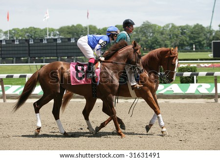 ELMONT - JUNE 6: Knife and Fork with A.J. Casey aboard in the post parade for the first race at Belmont Park on Belmont Stakes Day - June 6, 2009 in Elmont, NY.