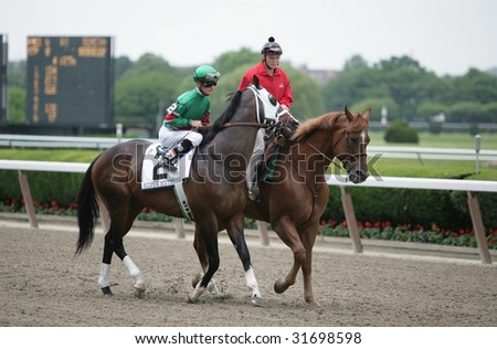 ELMONT - JUNE 6: Silver Edition with Julien Laparoux aboard in the Post Parade for The True North Grade II Stakes at Belmont Park on Belmont Stakes Day - June 6, 2009 in Elmont, NY.