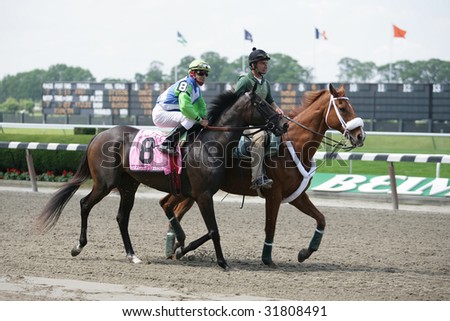 ELMONT - JUNE 6: My Princess Jess with Cornelio Velasquez aboard in the Post Parade for The Just a Game Grade I Stakes at Belmont Park on Belmont Stakes Day - June 6, 2009 in Elmont, NY.