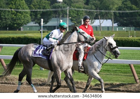 SARATOGA SPRINGS, NY- AUGUST 1:  Julien Leparoux aboard Forever Together in the post parade before the 71st Diana Stakes at Saratoga Race Track, August 1, 2009 in Saratoga Springs, NY.