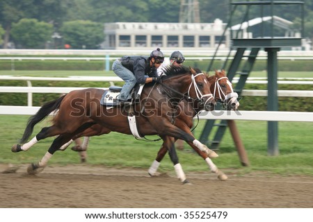 SARATOGA SPRINGS, NY- AUGUST 16: Two horses trained by George Weaver breeze side by side in morning workouts at Saratoga Race Track, August 16, 2009 in Saratoga Springs, NY.