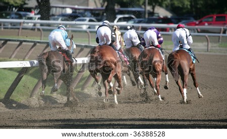 SARATOGA SPRINGS, NY- AUGUST 30: The Field heads into the back stretch in the 7th race at Saratoga Race Track, August 30, 2009 in Saratoga Springs, NY.