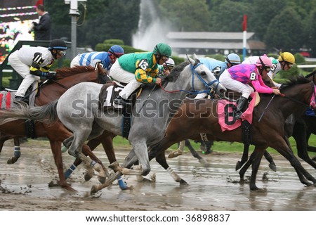 SARATOGA SPRINGS, NY- AUGUST 29: The Field Leaves the gate in the 1st race on a muddy track at Saratoga Race Track, August 29, 2009 in Saratoga Springs, NY.