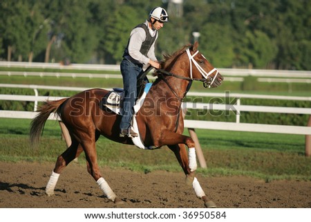 SARATOGA SPRINGS, NY- SEPT 7: A rider works a horse for Todd Pletcher on the last day of workouts for the season on the main track at Saratoga Race Track, September 7, 2009 in Saratoga Springs, NY.