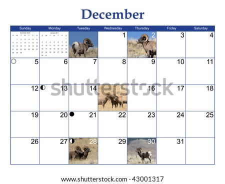 December 2010 Wildlife Calendar Page with Bighorn Sheep pictures, moon phases, and NO Holidays