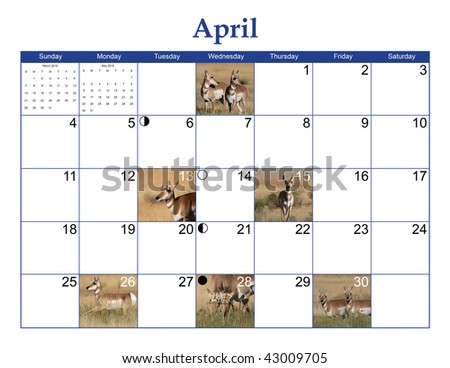 April 2010 Wildlife Calendar Page with Antelope pictures, moon phases, and NO Holidays
