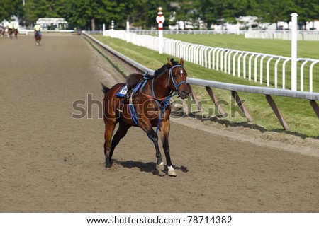 SARATOGA SPRINGS, NEW YORK - JUNE 5: A run away horse lost his rider at the Oklahoma Training Track on June 5, 2011 in Saratoga Springs, NY