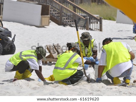 PERDIDO KEY FLORIDA - SEPT 22: Unidentified workers clean tar balls from the beach as a result of the Gulf Coast oil spill Sept 22, 2010 in Perdido Key Florida.