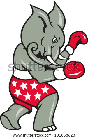 Elephant Boxer Boxing Stance Cartoon illustration of an elephant boxer with boxing gloves and stars shorts as republican mascot.