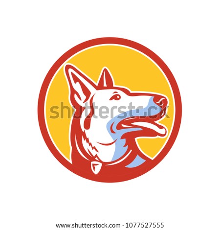 Mascot icon illustration of head of a police dog, German Shepherd, Alsatian wolf dog or sometimes abbreviated as GSD looking up set inside circle viewed from side isolated background in retro style.