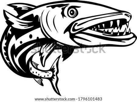 Barracuda or Sphyraena Barracuda Swimming Up Woodcut Retro Black and White