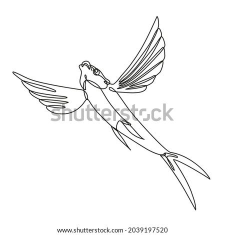 Continuous line drawing illustration of a Sailfin flying fish taking off done in mono line or doodle style in black and white on isolated background.