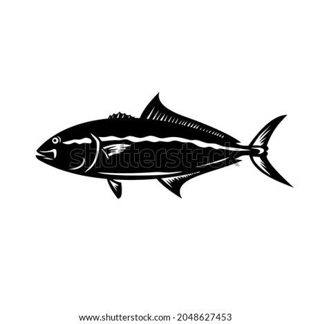 Mascot illustration of a greater amberjack, Seriola dumerili, medregal, coronado, allied kingfish, great amberfish, greater yellowtail, jenny lind, purplish amberjack in retro black and white style.