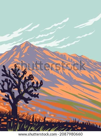 Franklin Mountains State Park with Cactus Located in El Paso Texas USA Poster Art
