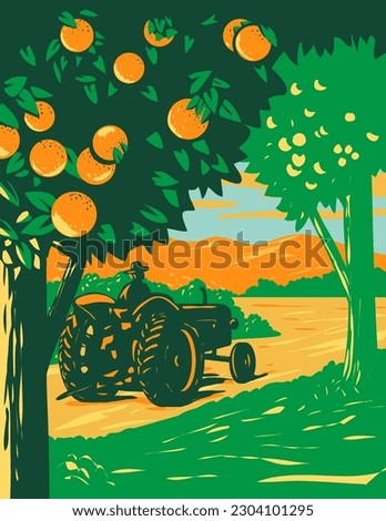 WPA poster art of an orange grove in Central Florida with a farmer driving a vintage tractor and mountains in background done in works project administration or Art Deco style.