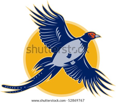vector illustration of a pheasant bird flying viewed from low angle.