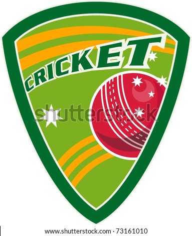 vector illustration of a cricket sport ball inside shield with stars and words 
