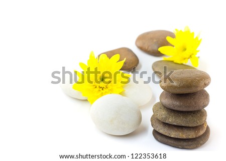 Zen stones and chrysanthemums with sample text