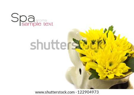 Yellow chrysanthemums on a terracotta oil burner