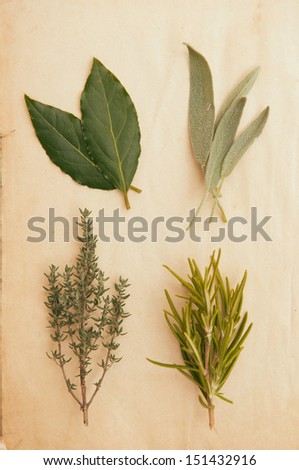 Fresh herbs on vintage paper