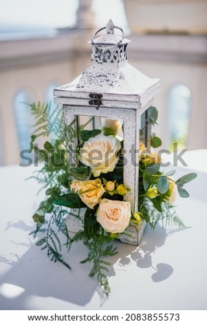 Similar – Image, Stock Photo lantern flower