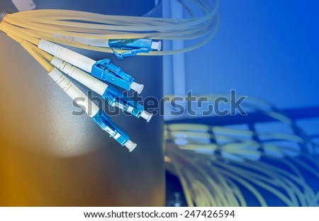 Blue optical fibre plugs in optic tray in server room