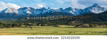 Cattle ranch below the Dallas divide mountains in Southwest Colorado Photo stock © 