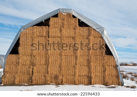 Hay bales covered for long-term storage under a tarp.