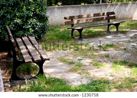 Two sun dappled wooden benches
