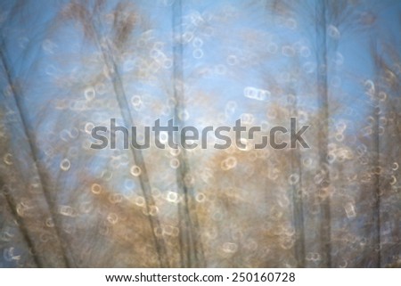Abstract natural background with grass, natural bokeh,blurred