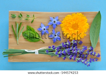 Summer herbs and edible flowers on wooden plate on blue background. Thyme, Rosemary, Mint, borage (borago), marigold (Calendula officinalis), Salvia and Lavender (Lavandula). Also beauty care.