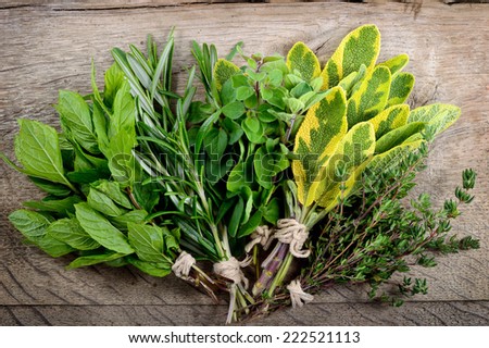 Freshly harvested herbs, bunch of fresh herbs over wooden background.
