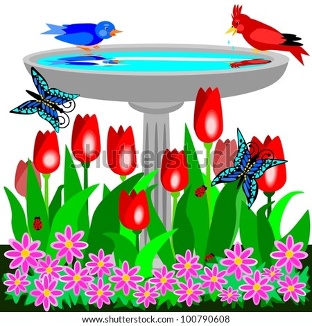 Birdbath and tulips.  Illustration of a birdbath in the garden and tulips growing at its feet.  A couple of birds are visiting.