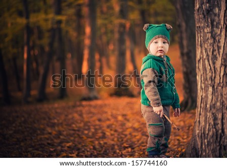 cute little boy at fall season forest tree
