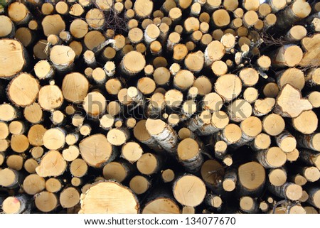 Close Up of Log Pile Pattern, Finland