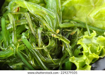 Wakame seaweed salad. Traditional japanese food