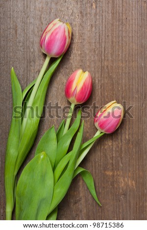 Three tulips laying on a wooden plank.
