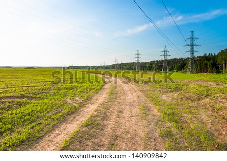 Green field with young corn with Green field, electricity line