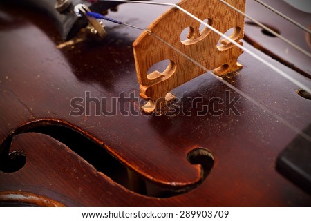 Classic music vintage violin, extra close up