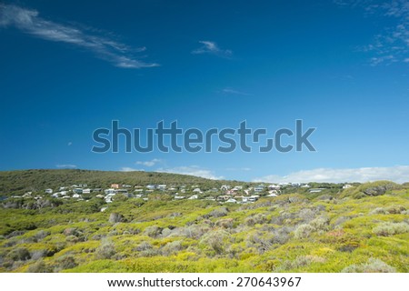 Coastal town of Yallingup, Western Australia, with houses surrounded by thick coastal heath covering the hillside under bright blue sky