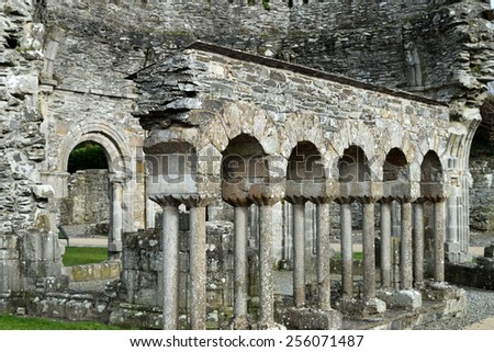 The first Cistercian Abbey to be founded in Ireland in the 1200 century. County Meath, Ireland.