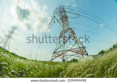 Fish eye view of electric pylon with green and foreground yellow weed and blue skies in the background.
