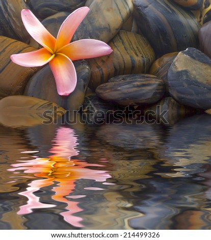 Frangipani flower and polished stone on tropical bamboo mat - digital composite,  water reflection and ripple effects.